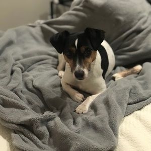 Meet your Posher, Pam